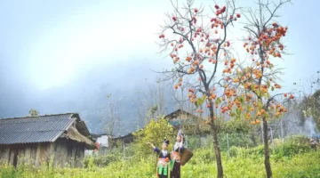 طقس متقلب.. هطول أمطار صباحية وضباب كثيف يتبعه سطوع شمس الظهيرة